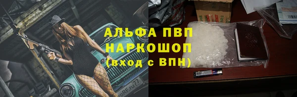 скорость Ельня