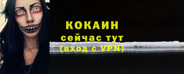 скорость Ельня