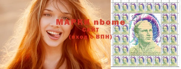 скорость Ельня