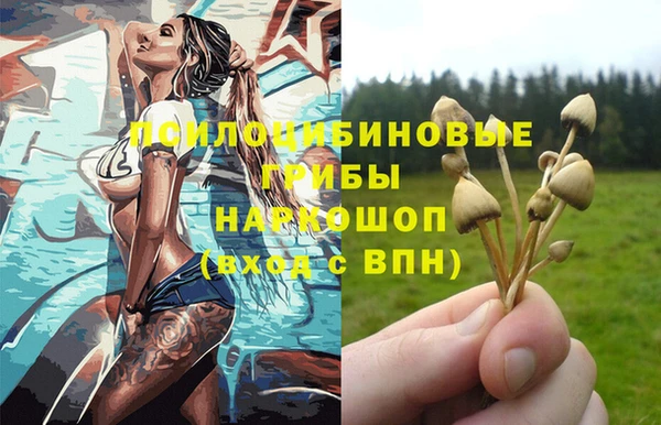 скорость Ельня